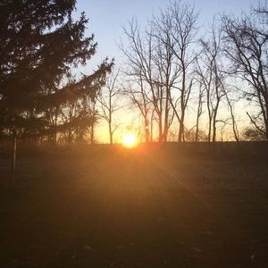 Meet your Posher, Maureen